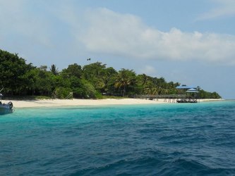 Pulau Selingan
